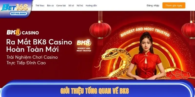 Giới thiệu tổng quan về thương hiệu giải trí online số 1 BK8